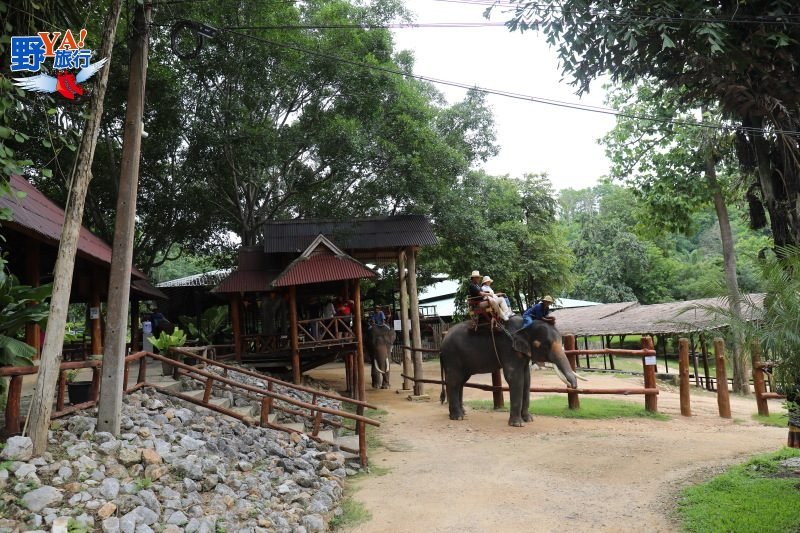 泰國唯一的大象養老院 南邦泰國象保育中心 @去旅行新聞網