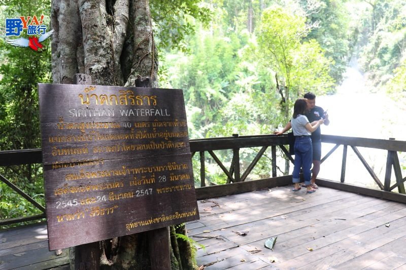 旅行清邁攀登泰國第一高峰  冷到發抖的茵他儂山國家公園之旅 @去旅行新聞網