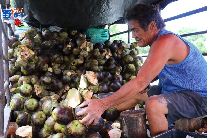 泰北南邦野味市場Kad Tung Kwian開眼界 挑戰極限，這些東西你敢吃嗎！ @去旅行新聞網