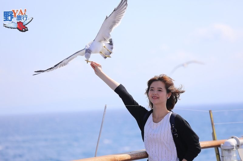 划盆舟當神隱少女 佐渡金山圓淘金夢 @去旅行新聞網