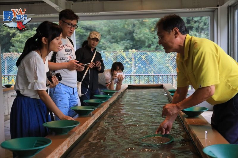 划盆舟當神隱少女 佐渡金山圓淘金夢 @去旅行新聞網