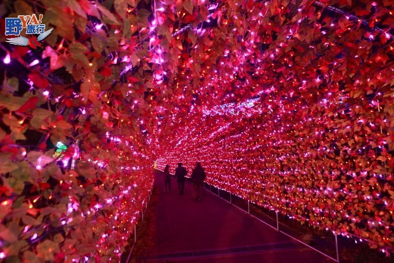 呼喚幸福的雙龍 上越妙高APA Resort百萬LED點燈 @去旅行新聞網