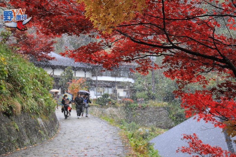 日本東北仙台賞楓懶人包 仙台/山寺/藏王/角館/最上川/中尊寺超美紅葉景點推薦
