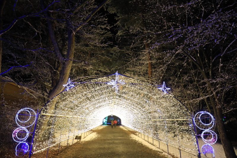 小岩井農場銀河鐵道點亮夜空，雪花紛飛的東北雪國 @去旅行新聞網