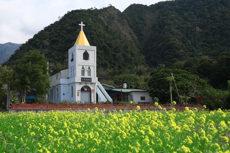 花蓮南區賞梅秘境 富里豐南村梅花綻放 @去旅行新聞網