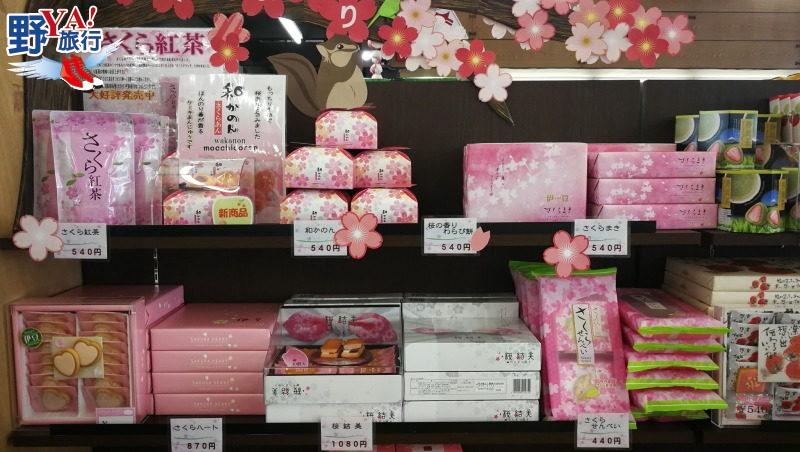 日本最早開的櫻花 2018河津櫻花祭浪漫登場 @去旅行新聞網
