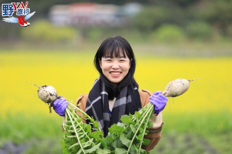 花蓮食農教育體驗-馬太鞍濕地捕魚拔蘿蔔 @去旅行新聞網