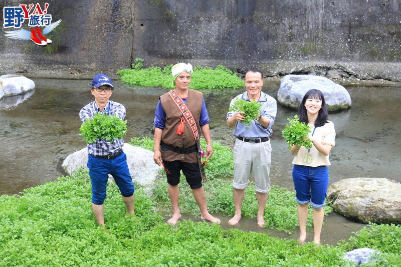花蓮食農教育體驗-馬太鞍濕地捕魚拔蘿蔔 @去旅行新聞網