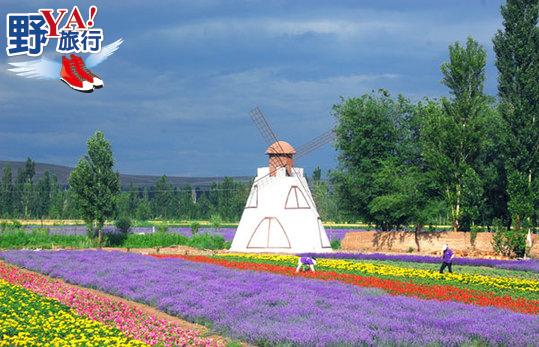 悠遊北疆壯麗風情 擁抱紫色浪漫薰衣草園 @去旅行新聞網