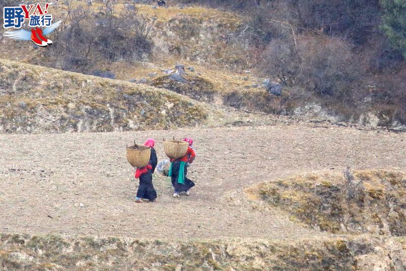 隴南藏族世外桃花源  天空之城扎尕那 @去旅行新聞網