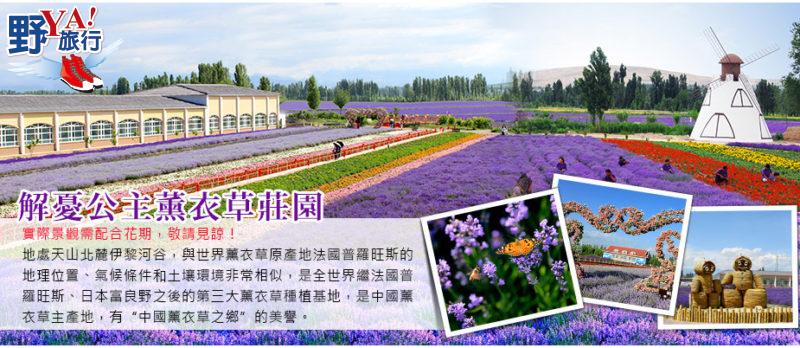 悠遊北疆壯麗風情 擁抱紫色浪漫薰衣草園 @去旅行新聞網