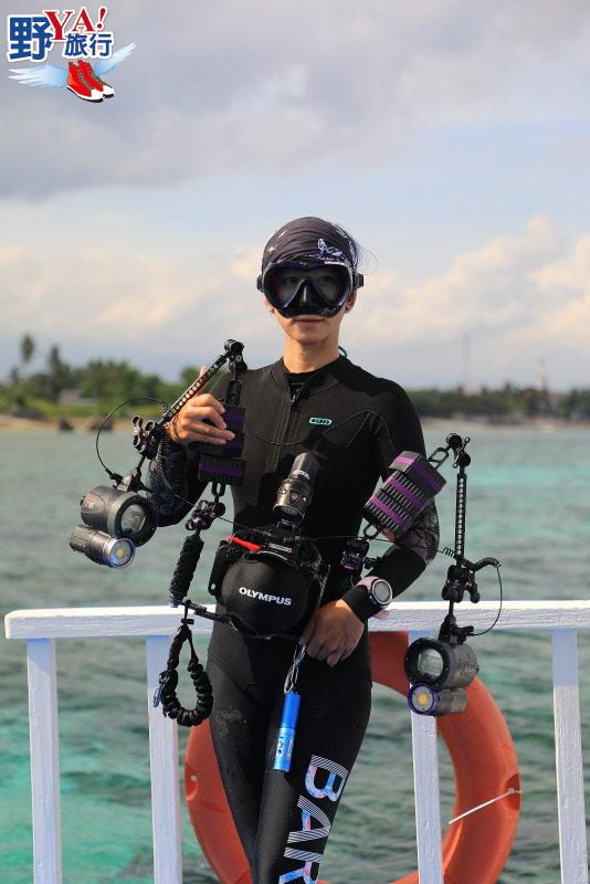 菲律賓宿霧潛水初體驗 令人震撼的莫亞礁沙丁魚風暴 @去旅行新聞網