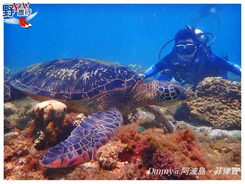 菲律賓體驗潛水與海龜同游 杜馬蓋地阿波島Apo Island超BLUE @去旅行新聞網