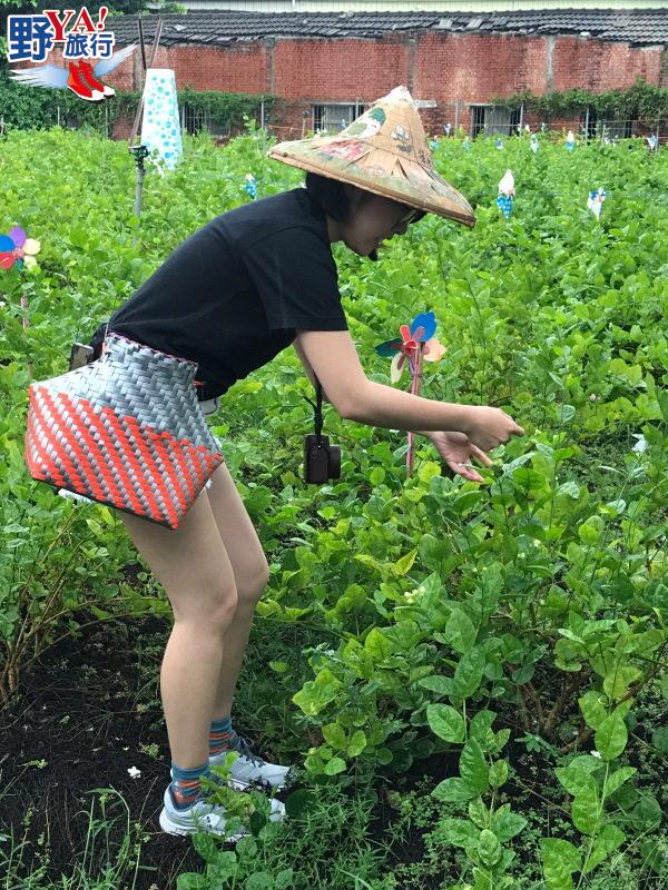 「花現幸福小旅行」滿滿樂趣 今夏花壇玩法更多 @去旅行新聞網