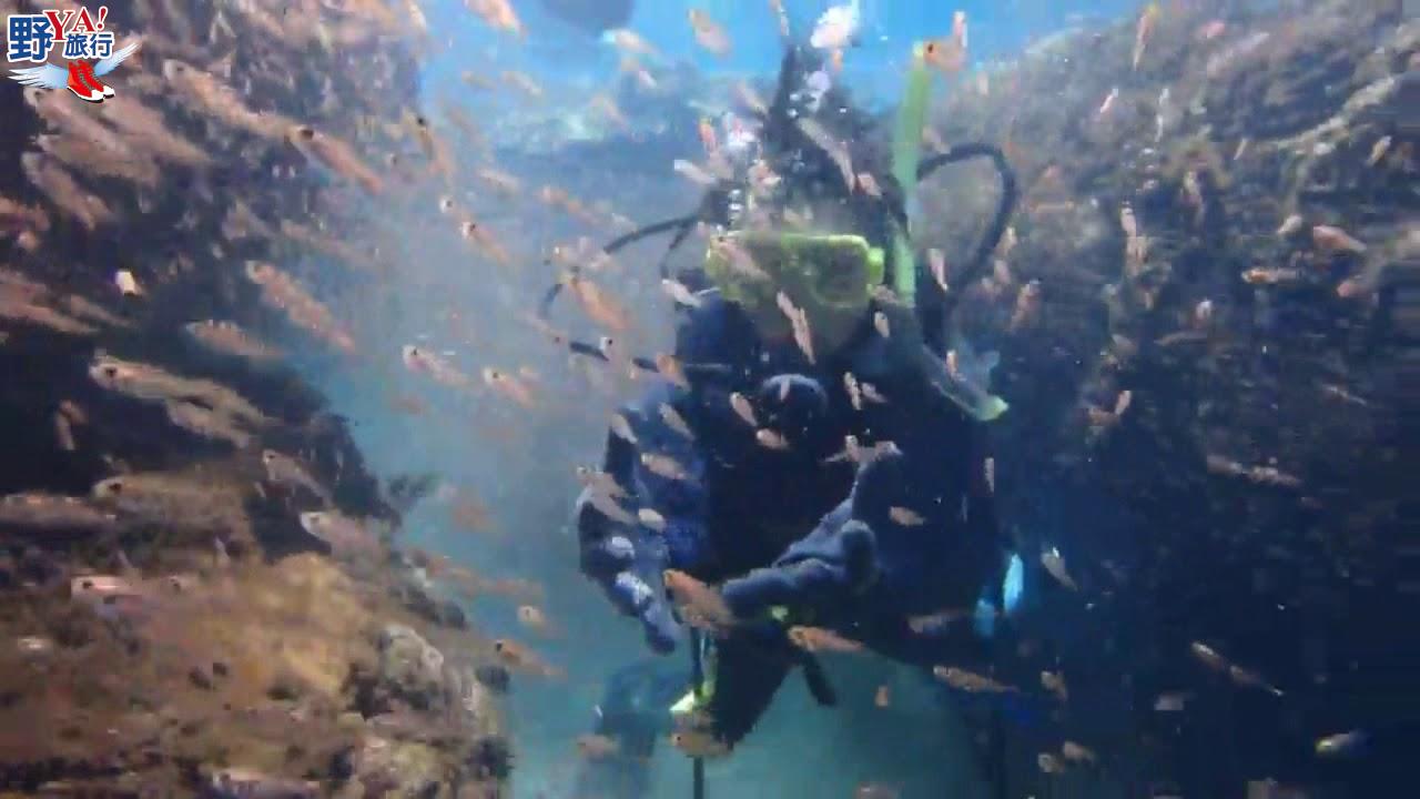 花蓮石梯坪PADI潛水訓練 體驗穿越魚牆的快感 @去旅行新聞網