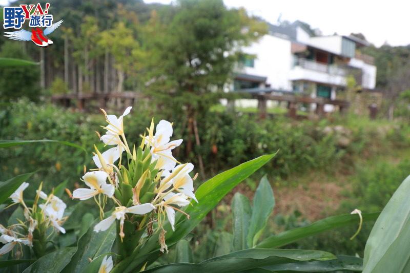 台灣｜南投 品好茶訪美景 亮點茶莊茶香之旅 @去旅行新聞網