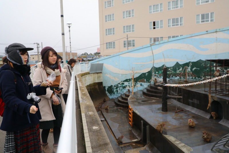 日本｜函館 冬遊北海道魅力函館 美食美景一次打包 @去旅行新聞網