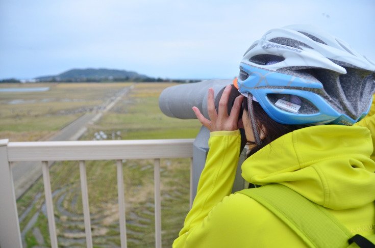 日本│九州 北薩騎單車 遇上萬隻西伯利亞鶴鳥 @去旅行新聞網