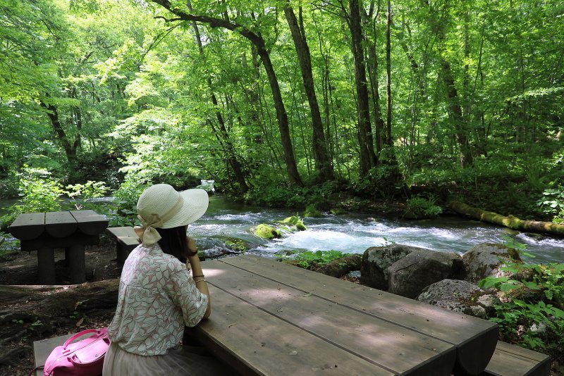 日本青森夢幻極景 青森奧入瀨溪流十和田湖散策 @去旅行新聞網
