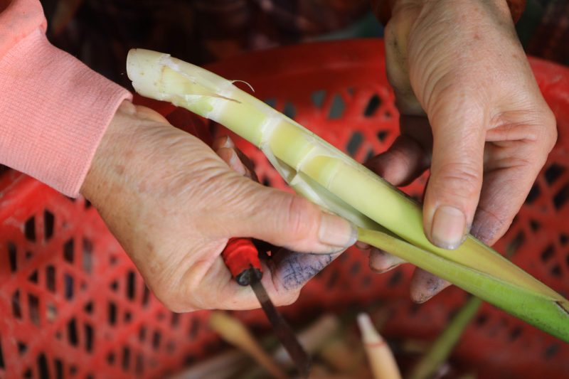 季節限定縱谷原住民美食 太巴塱箭筍美味上桌 @去旅行新聞網