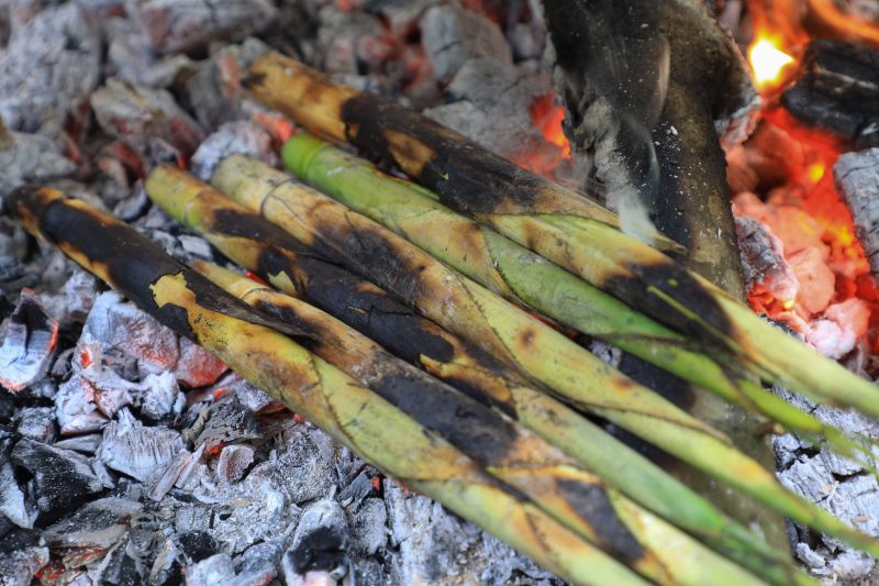 季節限定縱谷原住民美食 太巴塱箭筍美味上桌 @去旅行新聞網