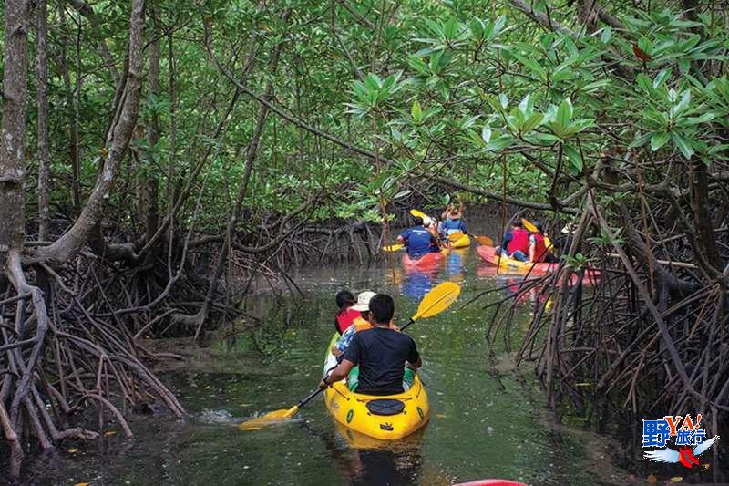 泰國綠色旅遊推薦 &#8211; 安達曼珍珠普吉島 除了玩水還可以玩這些更有趣 @去旅行新聞網