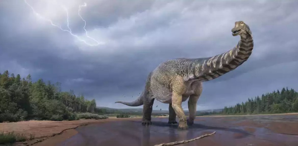 發現於昆士蘭的恐龍現被認定為恐龍新物種及澳洲最大恐龍 @去旅行新聞網