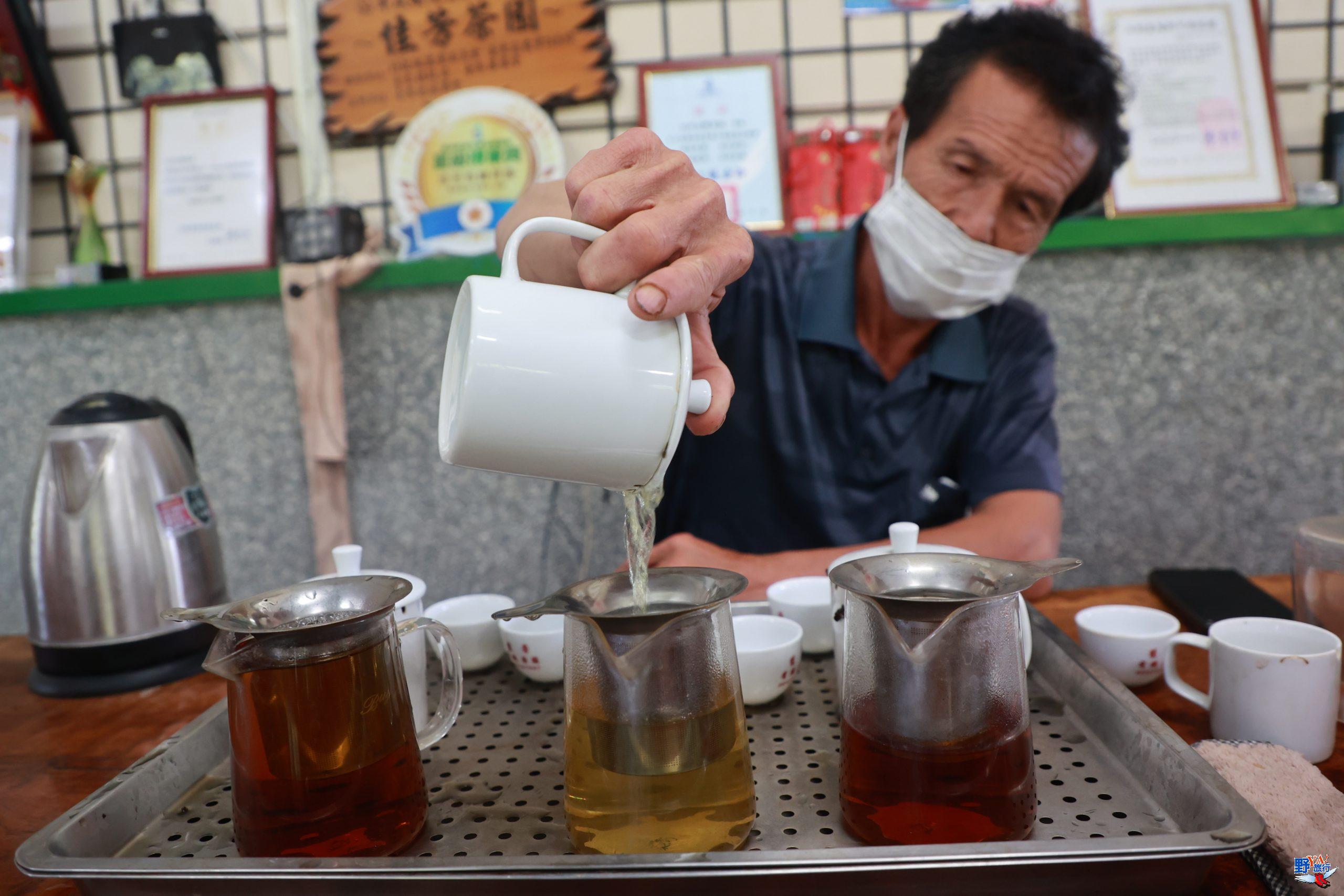 採茶品茗做蛋捲 佳芳有機茶園茶農體驗 @去旅行新聞網