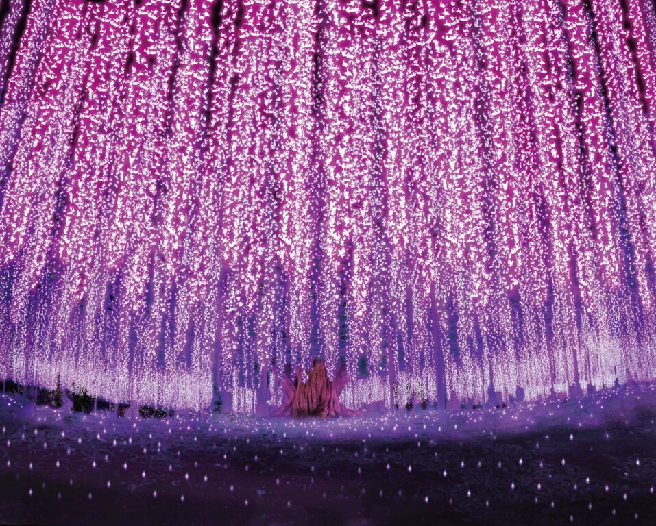 日本栃木縣冬季限定，燈會各地開演至2月 @去旅行新聞網