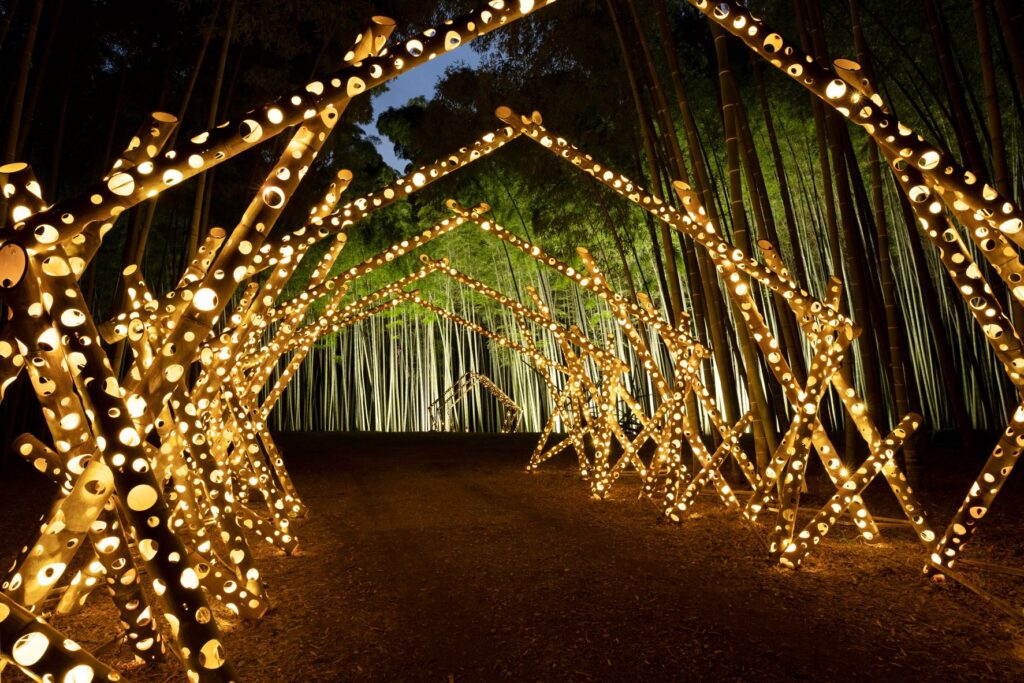 日本栃木縣冬季限定，燈會各地開演至2月 @去旅行新聞網