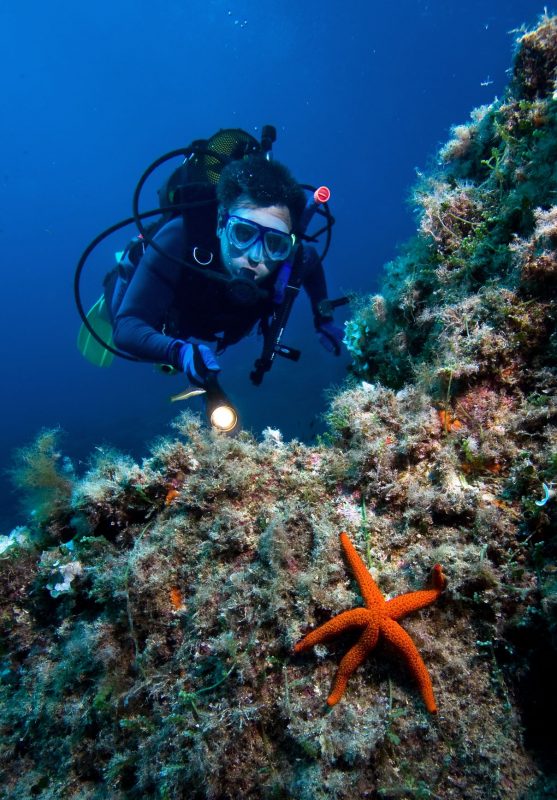 碧藍海岸水下旅程，探索土耳其十大潛水秘境 @去旅行新聞網