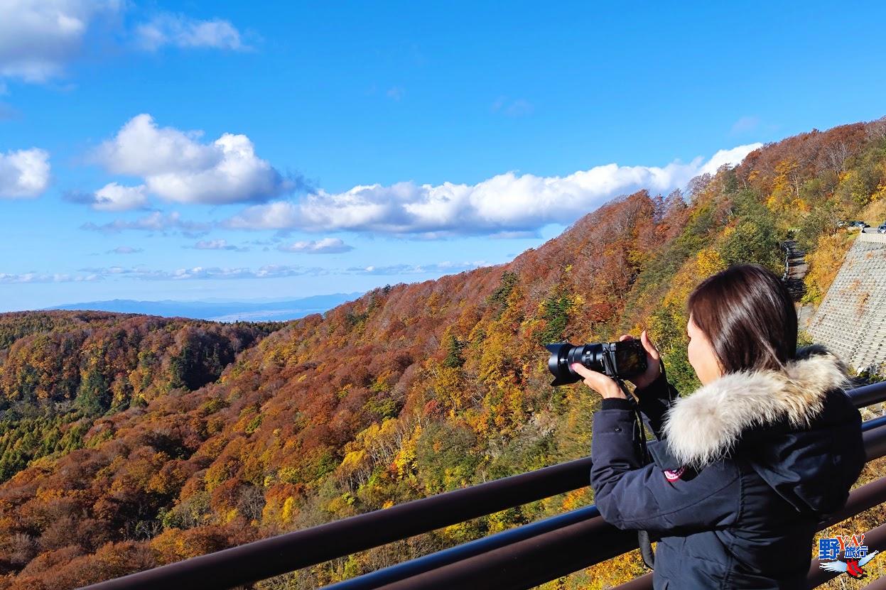 2022日本紅葉最前線 本州最靠北的紅葉景點超迷人 @去旅行新聞網
