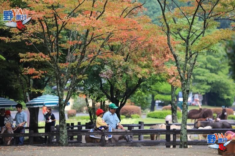 九州自然動物園 親子旅遊最佳景點 @去旅行新聞網