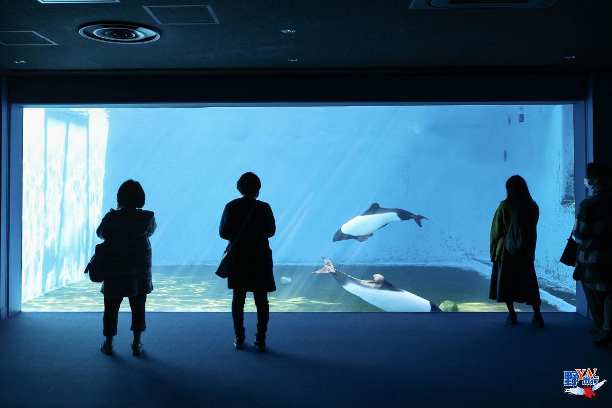 仙台海洋森林水族館見學 一覽日本東北海洋生態縮影 @去旅行新聞網