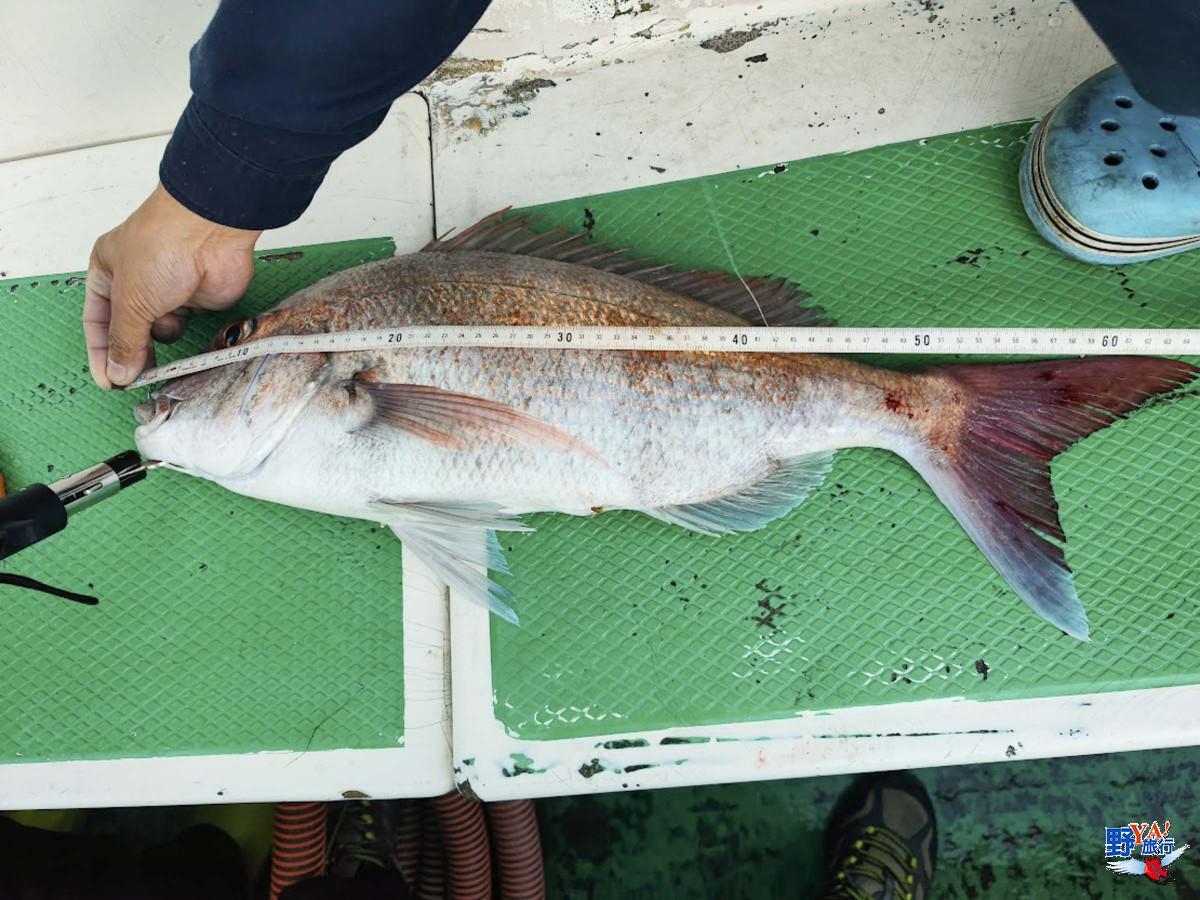 挑戰世界三大漁場 鹽釜港海釣初體驗 @去旅行新聞網