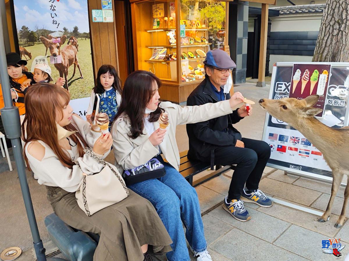 日本關西追楓直擊 奈良公園的貪吃鹿 @去旅行新聞網