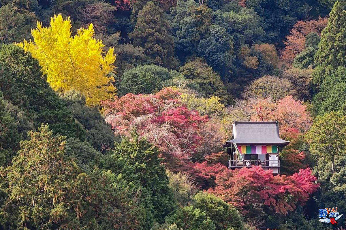 日本京都賞楓必拍 嵐山絕美紅葉這裡拍 @去旅行新聞網