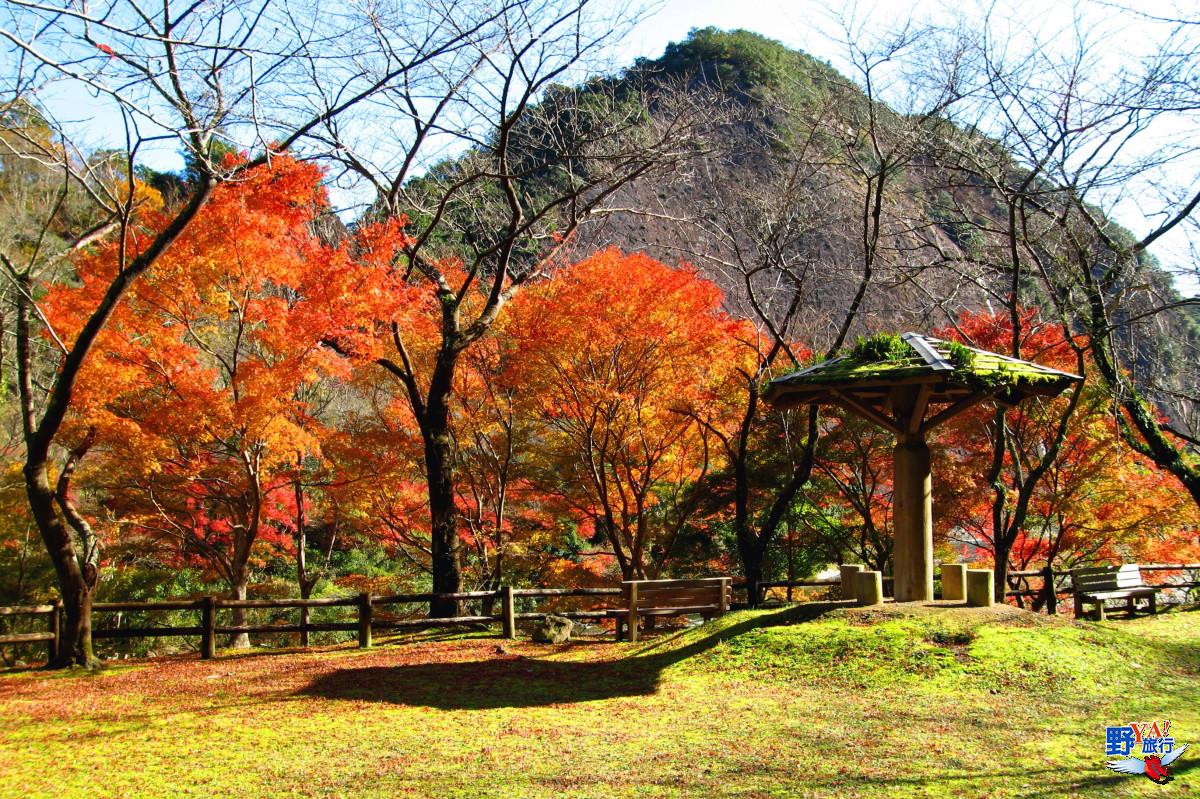 2022日本紅葉正美～和歌山縣５大賞楓景點 @去旅行新聞網