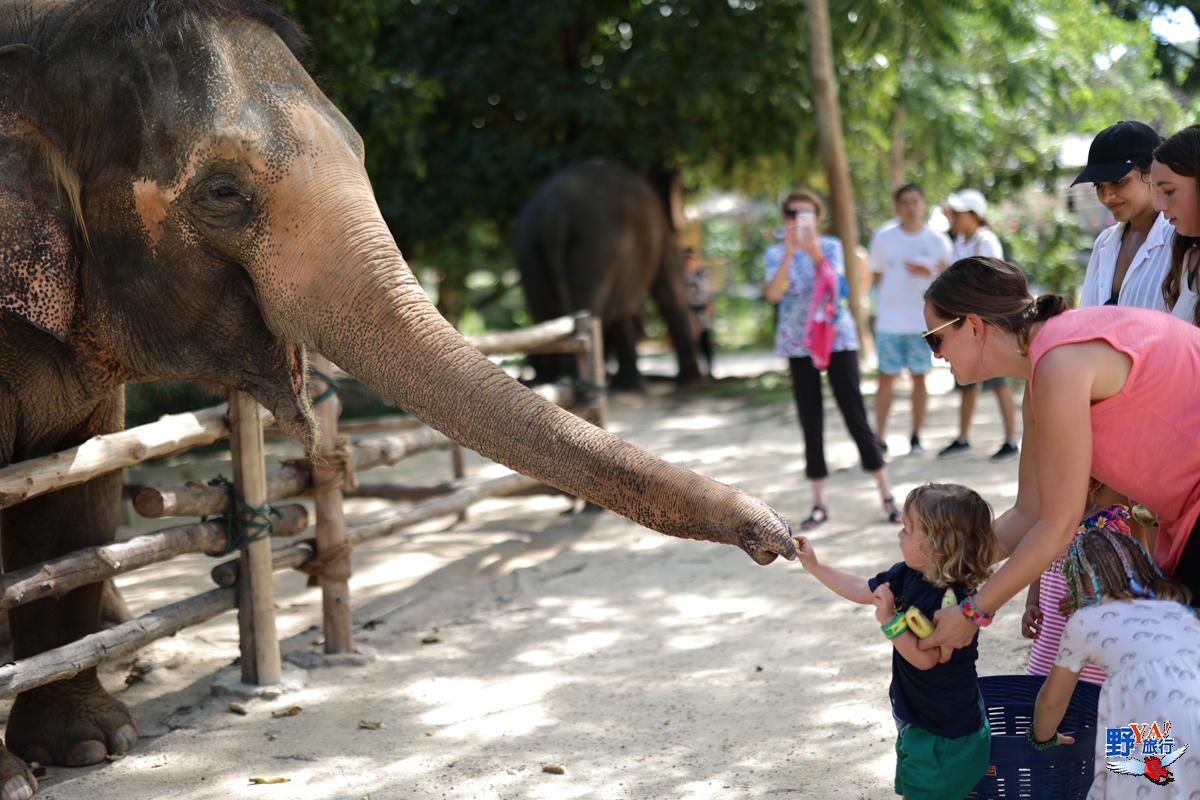 普吉島綠色大象保護區公園 與大象共浴超好玩 @去旅行新聞網