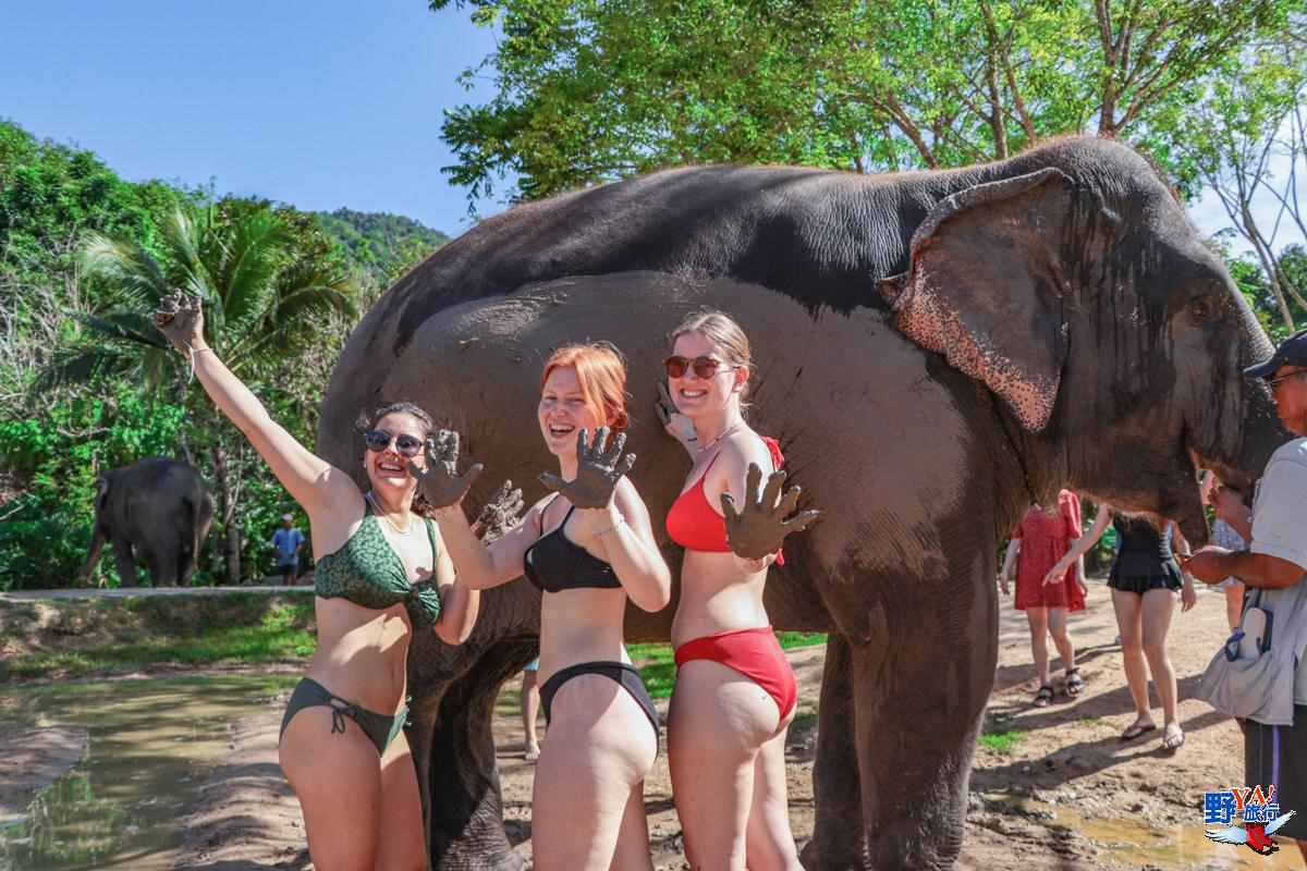 普吉島綠色大象保護區公園 與大象共浴超好玩 @去旅行新聞網