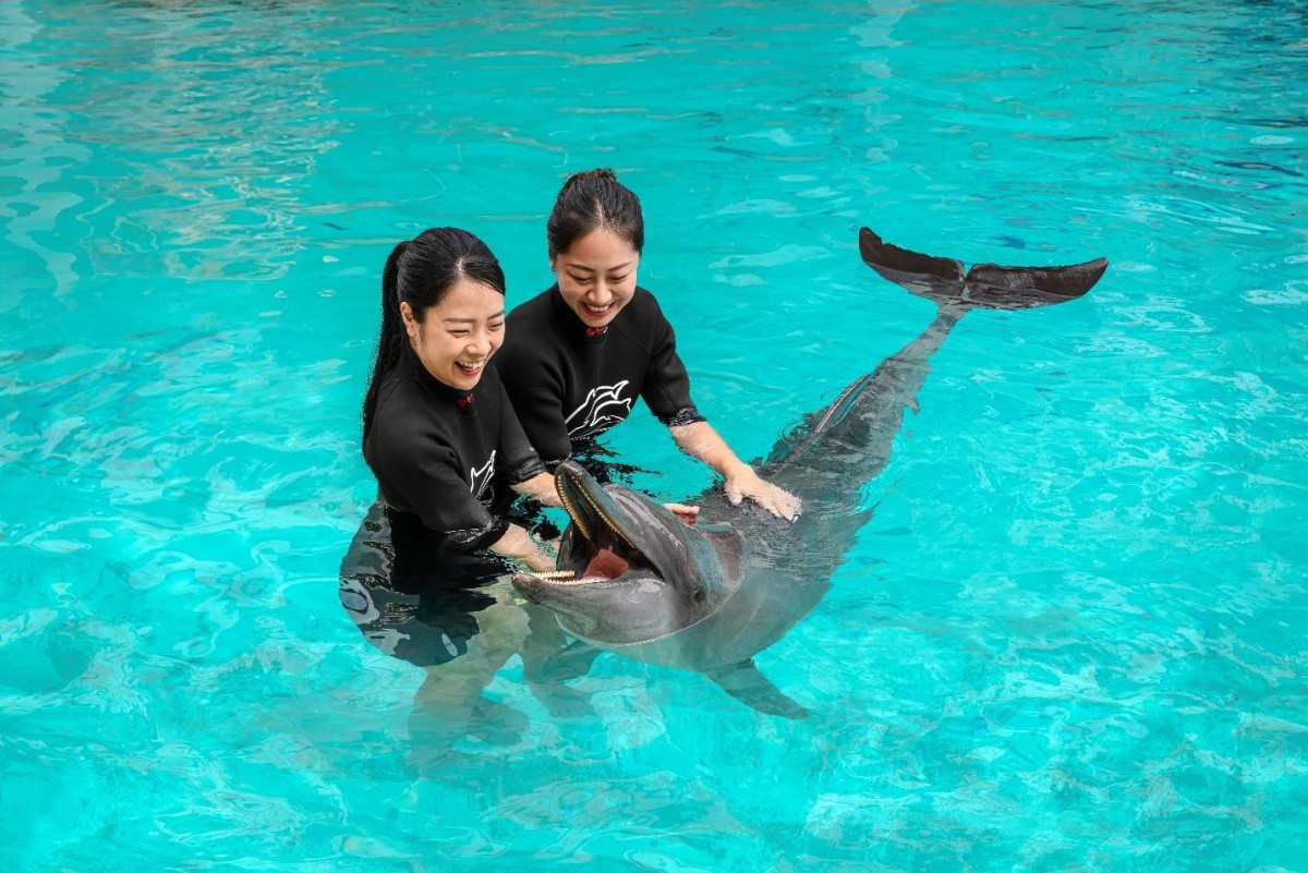 新加坡歡樂過暑假 聖淘沙海洋世界親子戲水天堂 @去旅行新聞網