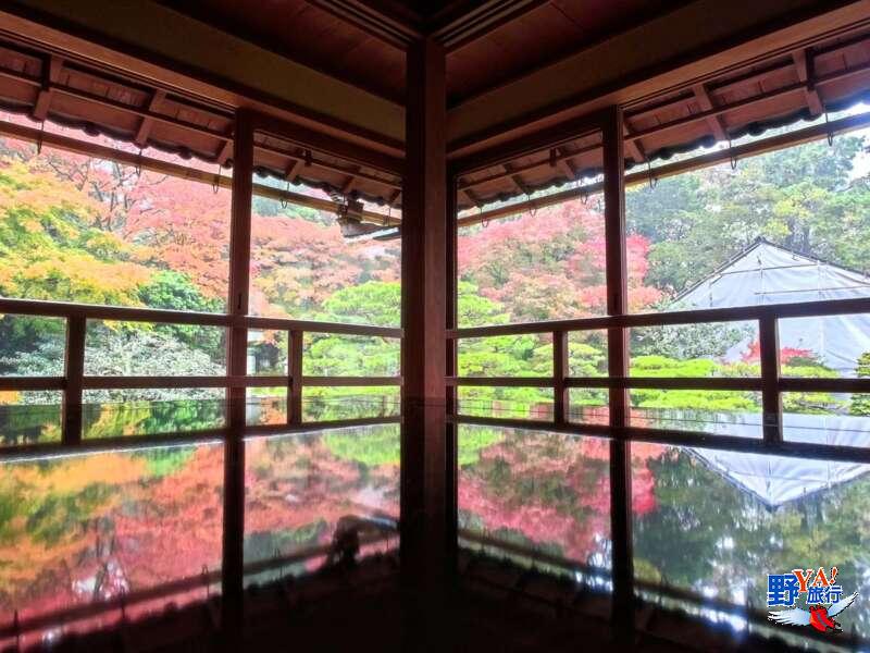 滋賀舊竹林院-媲美琉璃光院的紅葉倒影秘境 @去旅行新聞網