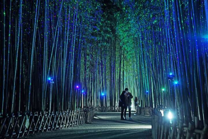 漫步蔚山太和江國家庭園 十里竹林、粉黛亂子草夢幻秋色太迷人 @去旅行新聞網