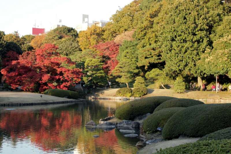 日本關東入秋賞紅葉、泡温泉、嘗美食  巢鴨周邊輕裝散策  感受東京下町在地氛圍 @去旅行新聞網