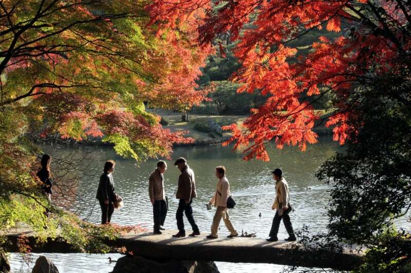 日本關東入秋賞紅葉、泡温泉、嘗美食  巢鴨周邊輕裝散策  感受東京下町在地氛圍 @去旅行新聞網