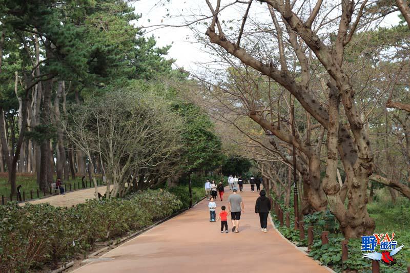 蔚山大王岩公園 韓國最早的日出在這裡 @去旅行新聞網