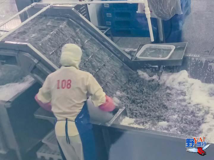 中國規模最大蝦滑工廠 廣西北海逮蝦記專精蝦滑產業 @去旅行新聞網