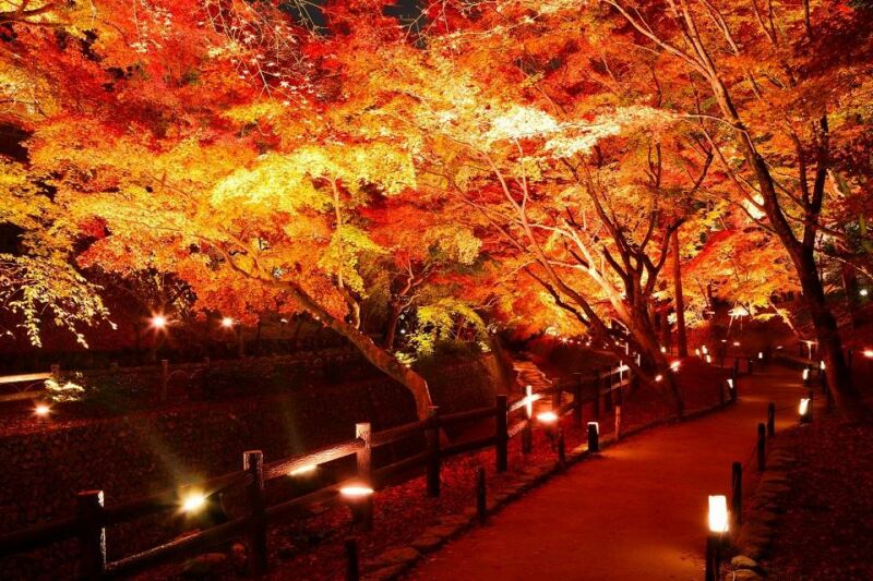 日本京都人氣賞楓景點及夜間點燈等期間限定活動看這裡 @去旅行新聞網