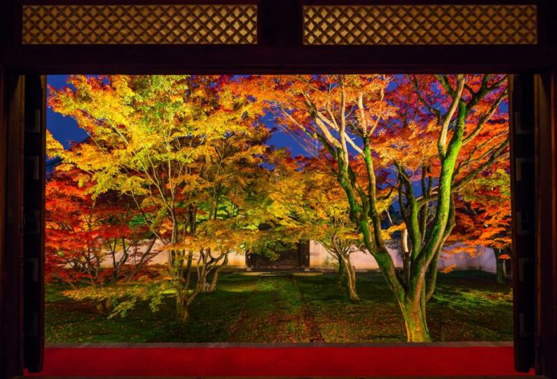 日本京都人氣賞楓景點及夜間點燈等期間限定活動看這裡 @去旅行新聞網