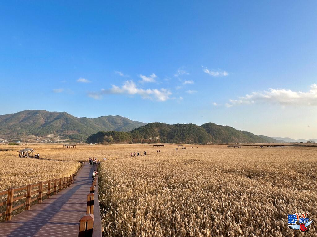 韓國全羅南道順天灣濕地生態遊  動物奇觀的生動探索 @去旅行新聞網
